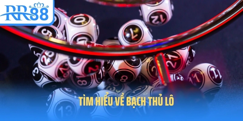 bach-thu-lo-gioi-thieu