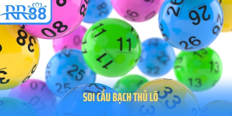 bach-thu-lo-soi-cau